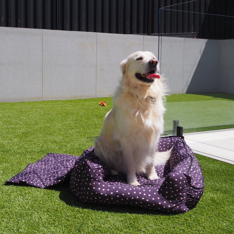 Pet Swag Range