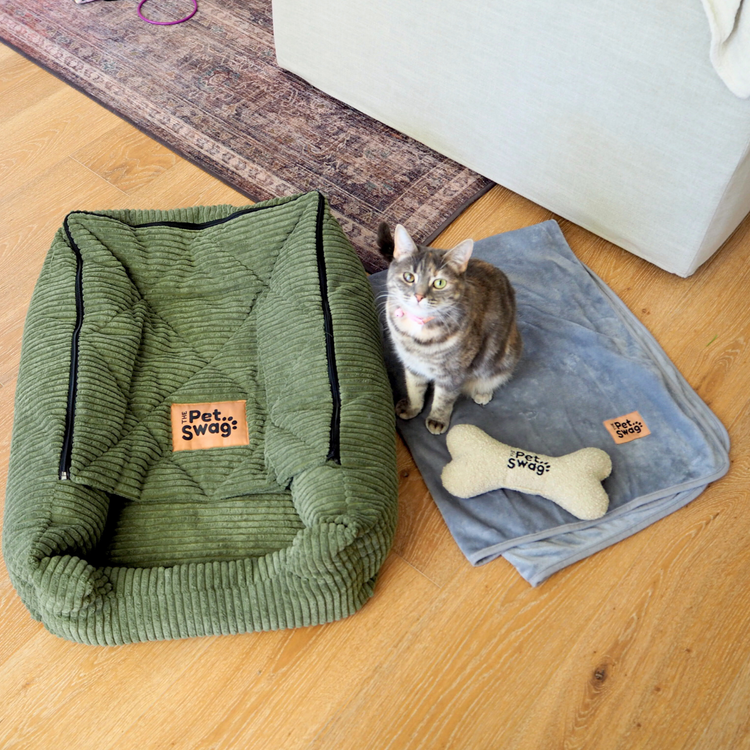 Pet Swag Accessories