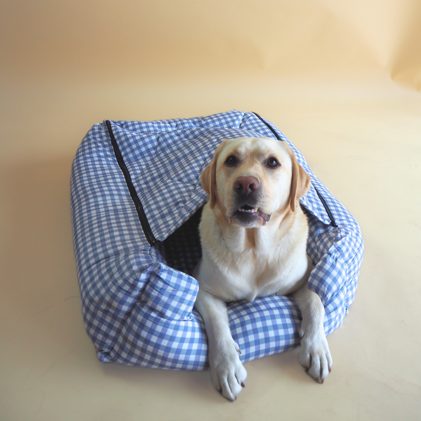 Blue Gingham L (2 Zips)