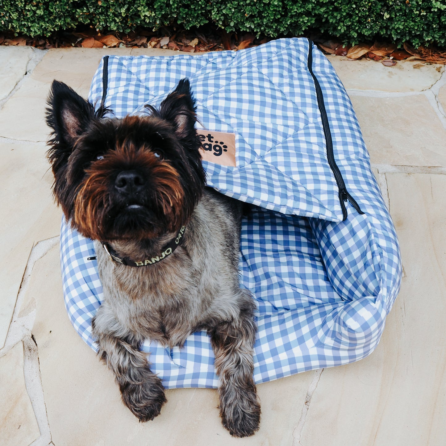 Blue Gingham (S-M & L)